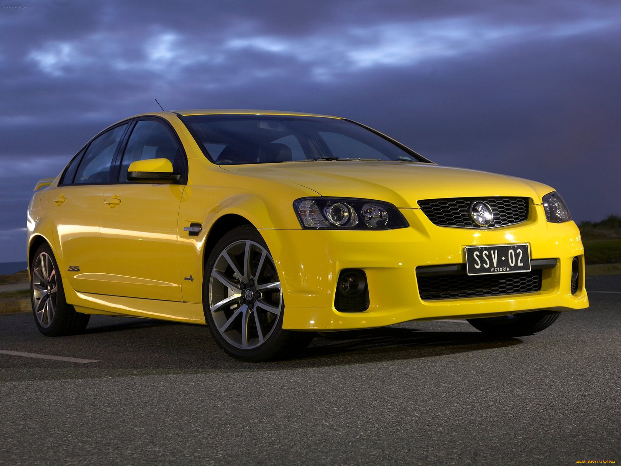 2010 holden commodore